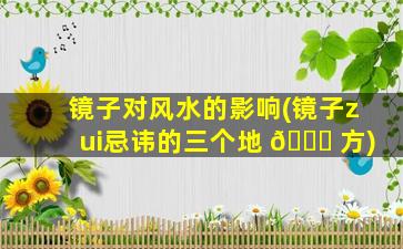 镜子对风水的影响(镜子zui
忌讳的三个地 🐋 方)